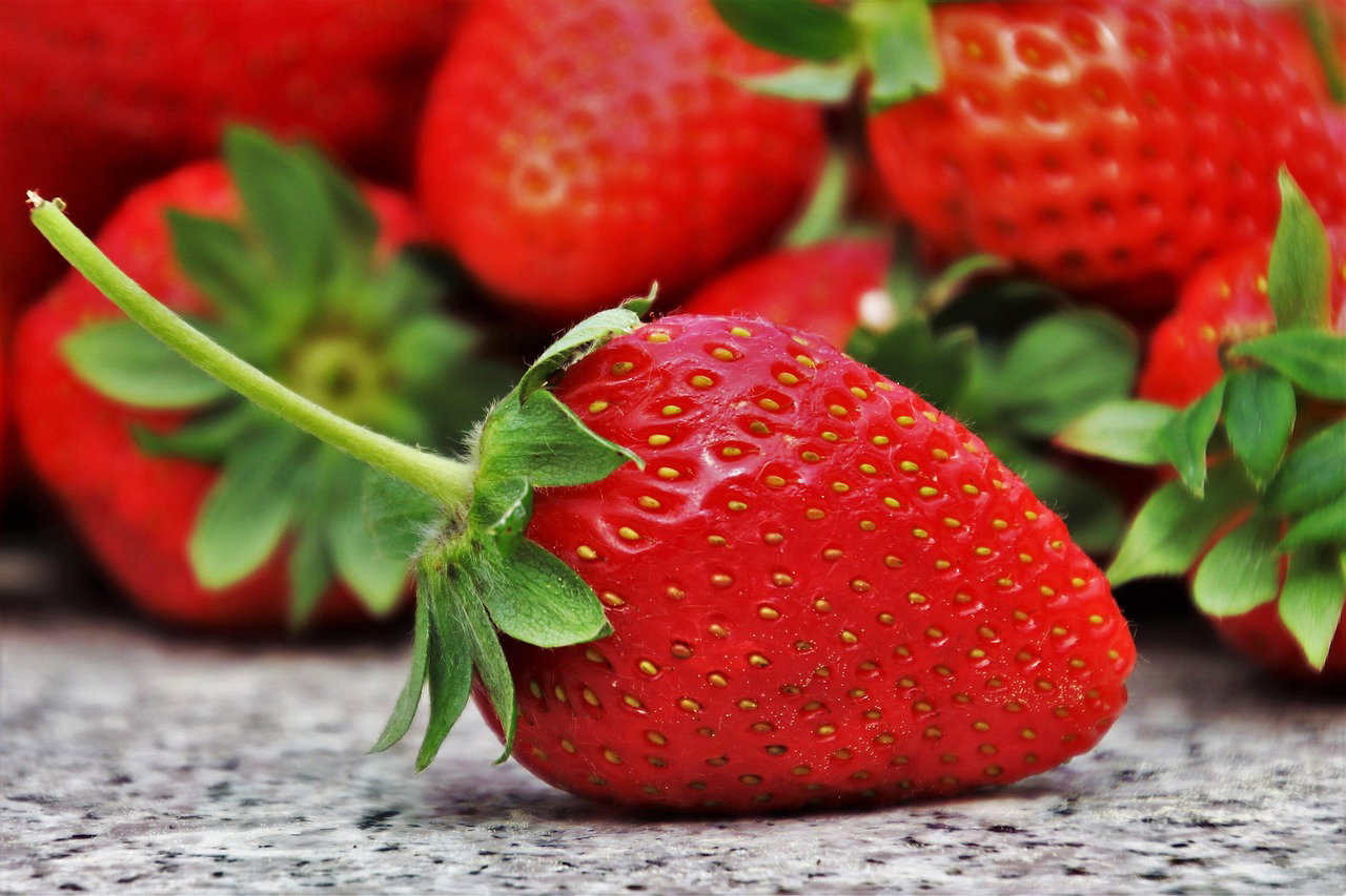 Strawberry Farming in Kenya: The Ultimate Guide to High-Value Agribusiness Profits