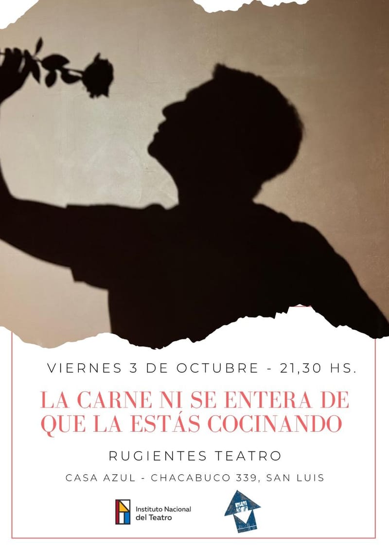"LA CARNE NI SE ENTERA DE QUE LA ESTÁS COCINANDO"  de  Dana Botti
