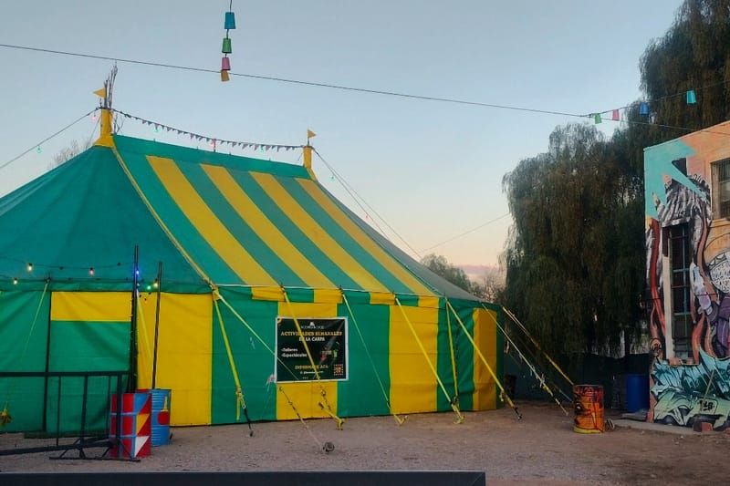 SEMILLA de La contenta circo