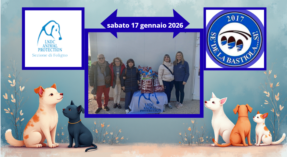 Donazione al canile di Ponte Rosso, Santa Maria degli Angeli-Assisi, per ricordare sant’Antonio Abate, il santo del popolo e degli animali.
