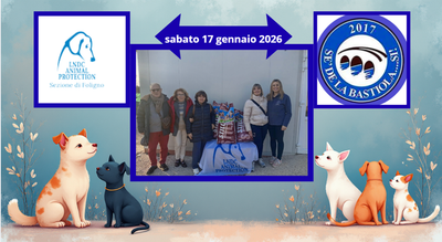 Donazione al canile di Ponte Rosso, Santa Maria degli Angeli-Assisi, per ricordare sant’Antonio Abate, il santo del popolo e degli animali.