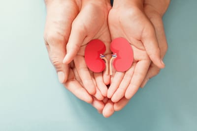 Kreatinin Yüksekliği: Neden Yükselir? Ne Zaman Tehlikelidir?