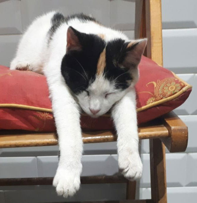 Felicidad o cansancio?