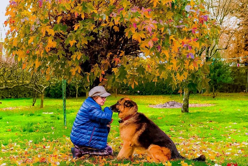 Veterinaria a domicilio