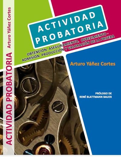 "ACTIVIDAD PROBATORIA"