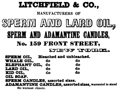 Signer #87, Saron Phillips: “The Lockout"