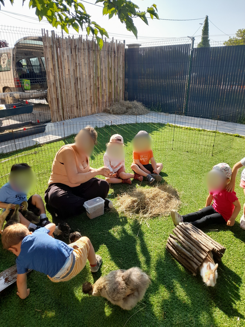 Des animaux de la ferme à la MAM