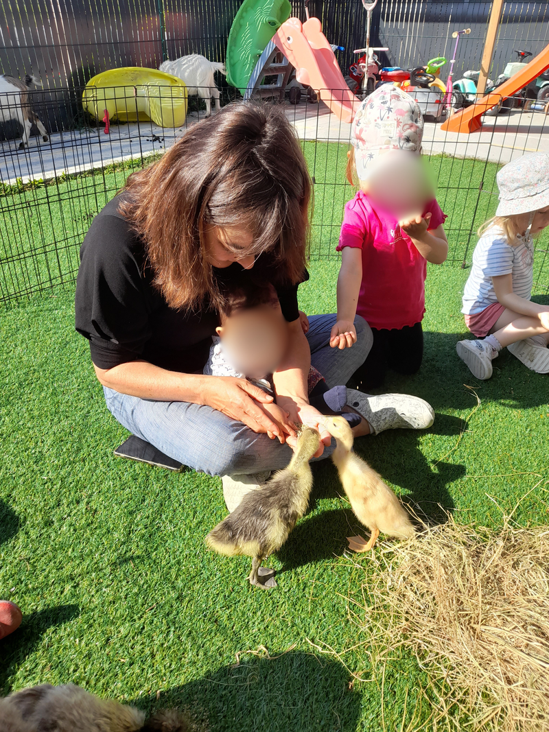 Des animaux de la ferme à la MAM