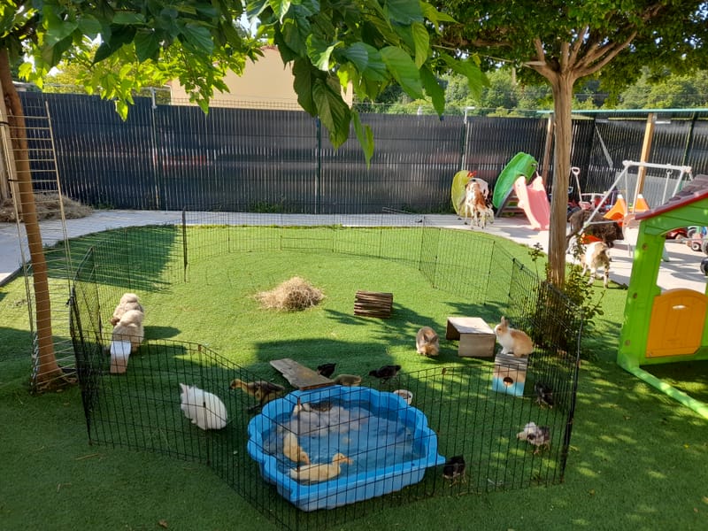 Des animaux de la ferme à la MAM