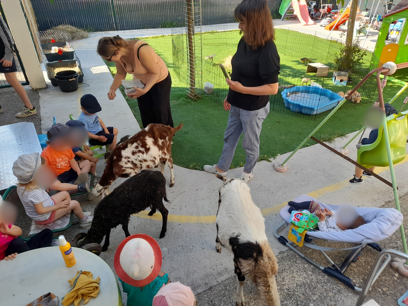 Des animaux de la ferme à la MAM
