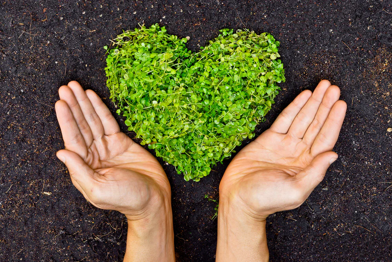 Sustainable & Eco-Friendly Candle Solutions
