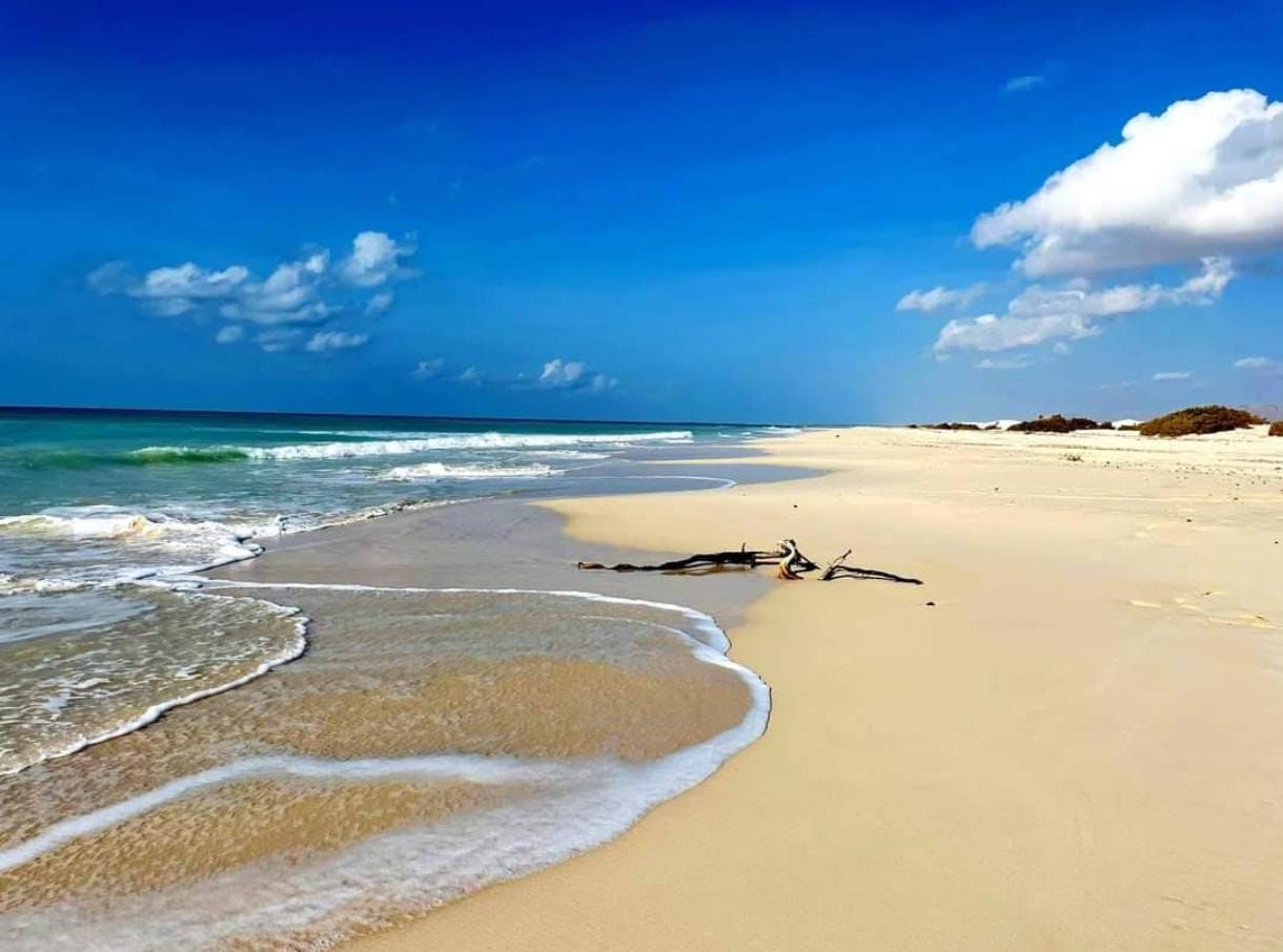 Day 3: The Golden Sands of the South