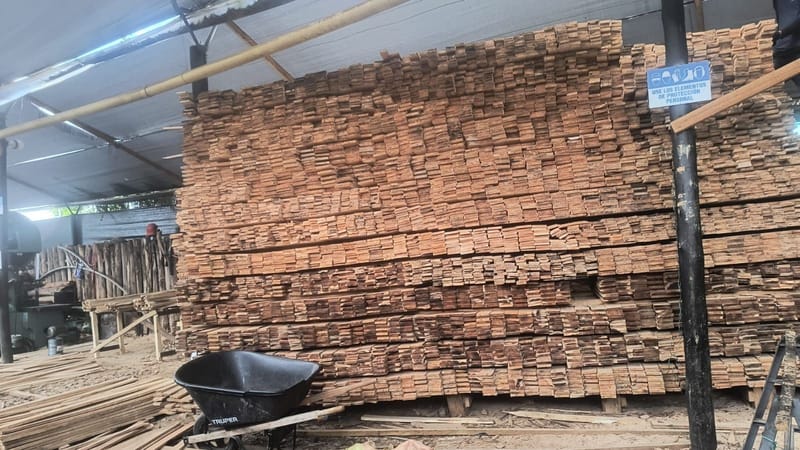 Tabla en eucalipto o pino