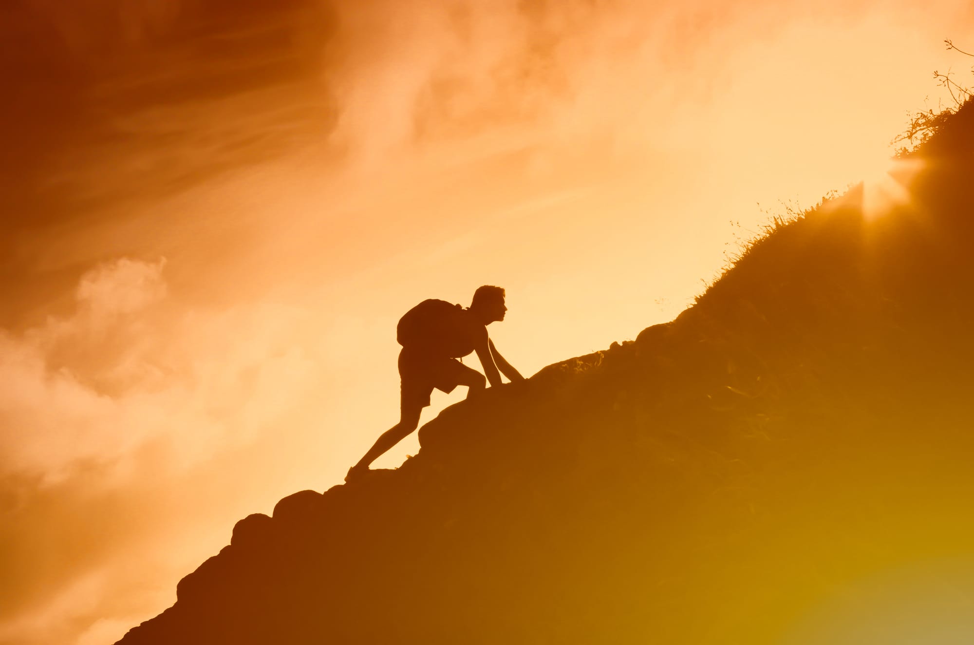 Why Willpower Fails: How to Build Your Decision Protocol