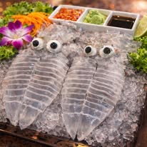 หมึกซาซิมิ