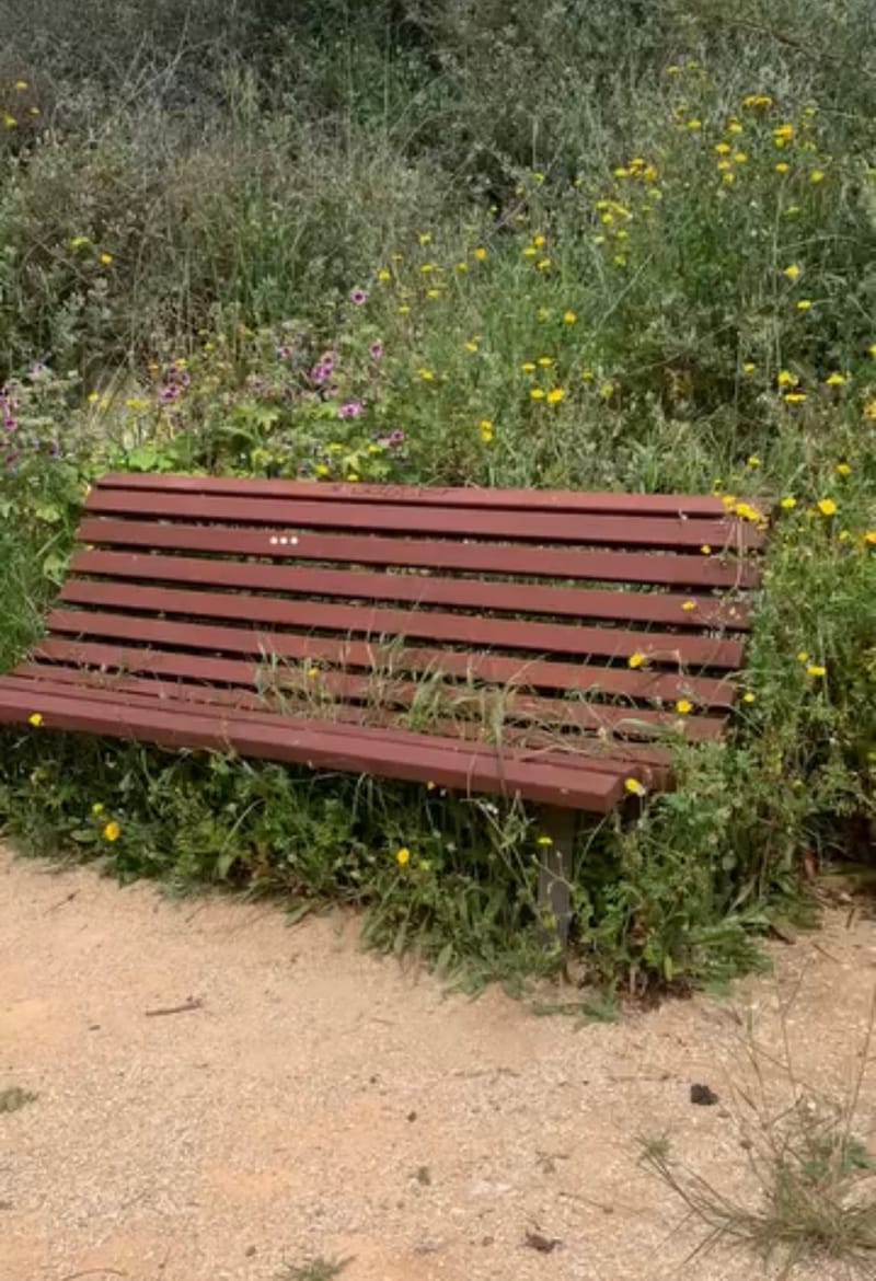 La Poésie Est Un Possible