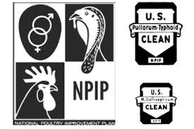 What is NPIP? National Poultry Improvement Plan - Cackle ...