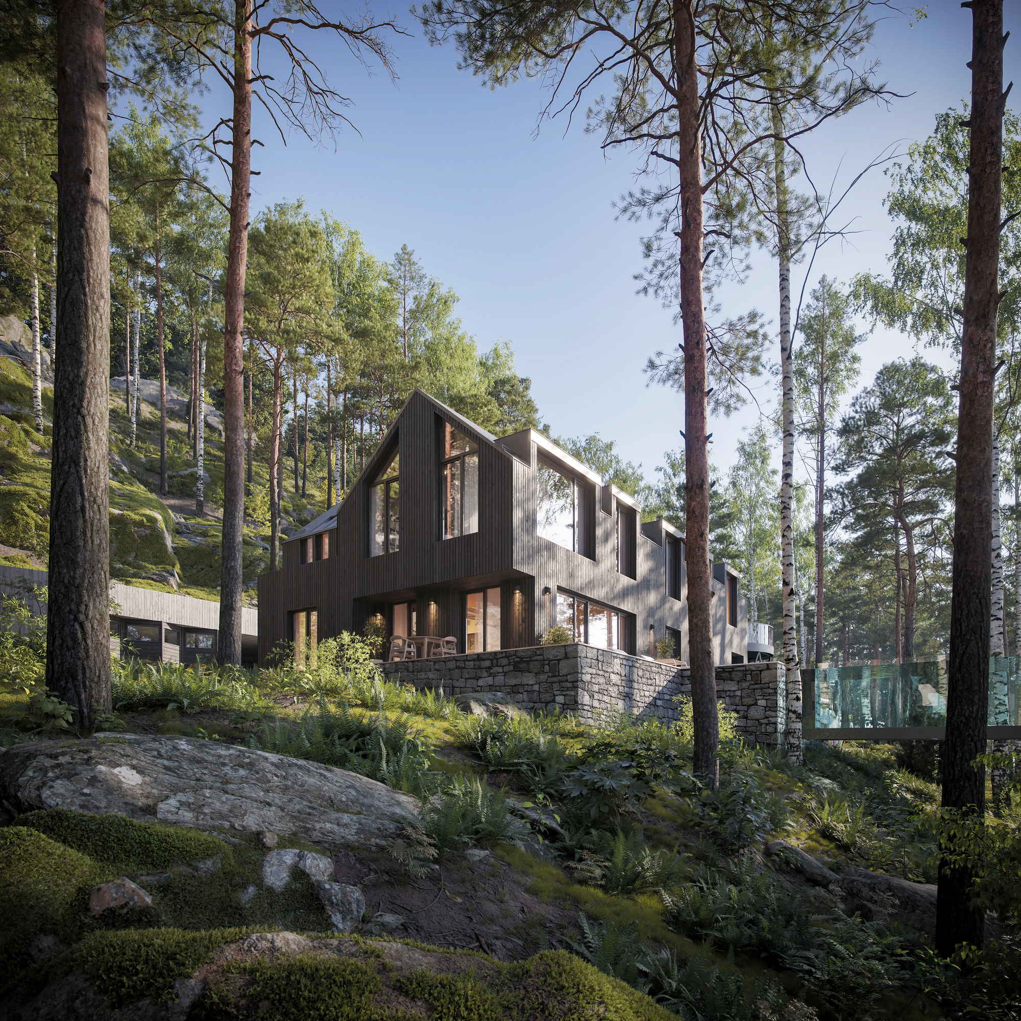 Forest