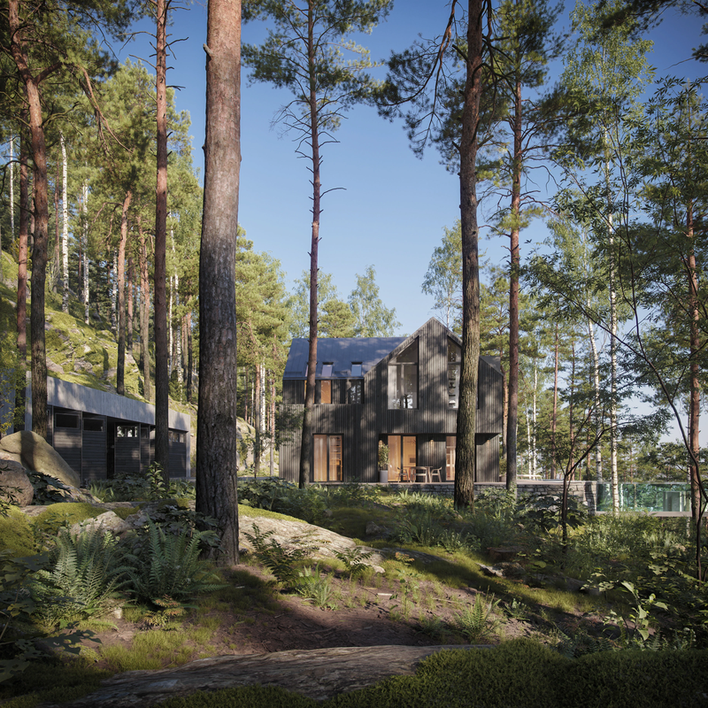 Forest Retreat