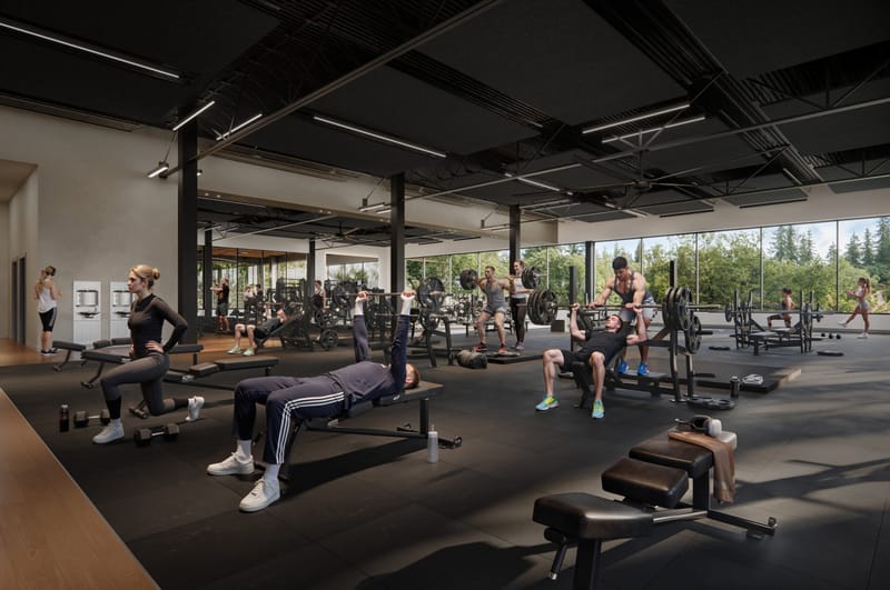 Wellness Retreat