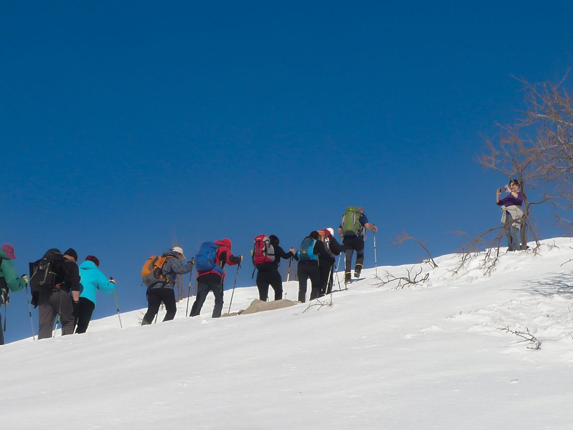 Mt. Hermon