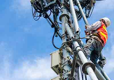 Annual & Quarterly Maintenance