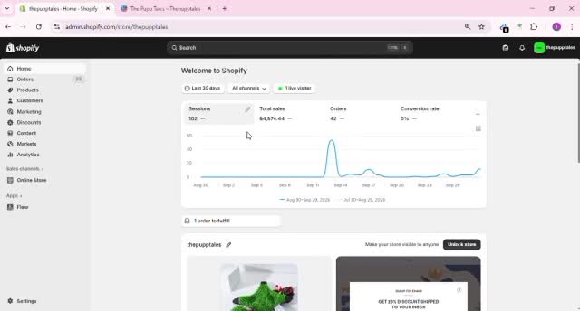 SHOPIFY STORE SALES thumbnail