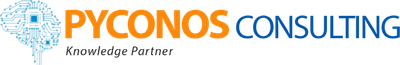 Pyconos Consulting