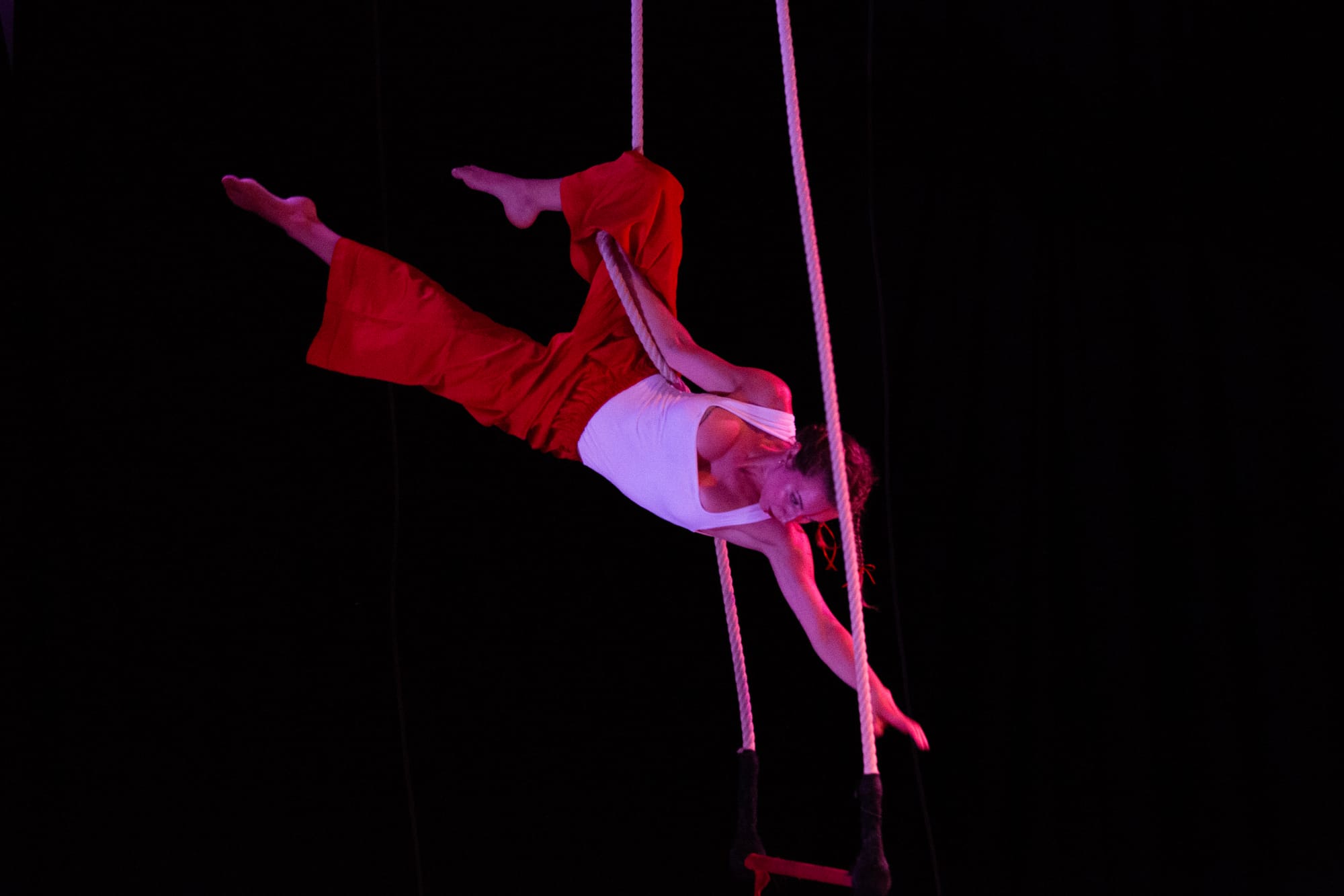 Spettacolo di circo