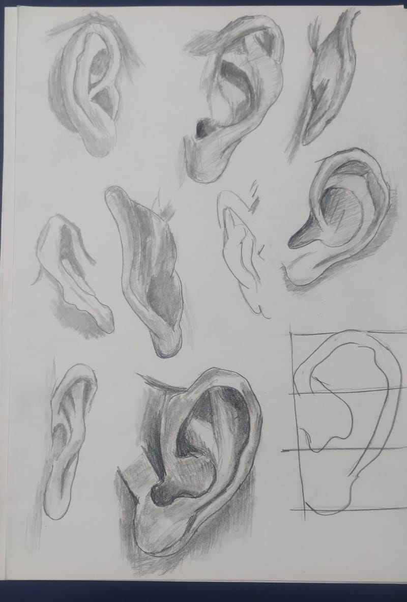 School & college project 