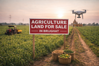 Agriculture Land for Sale in Brijghat – Invest in Nature, Growth, and Long-Term Wealth with The Club Farm