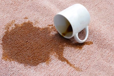 נשפך הקפה? המדריך המלא להצלת הספה (ומה שאסור לכם לעשות)