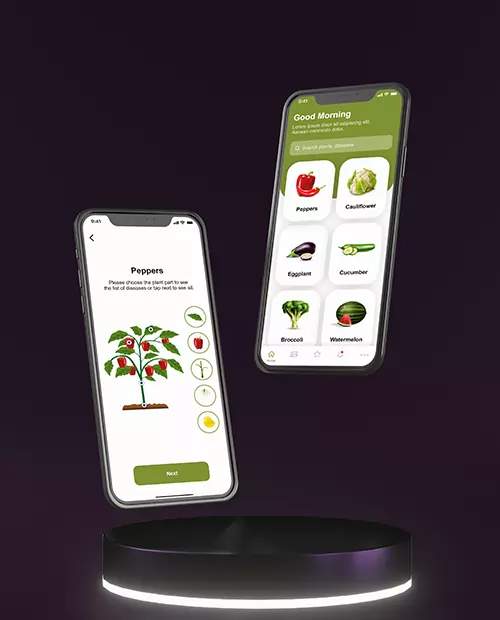 Mobile Application 