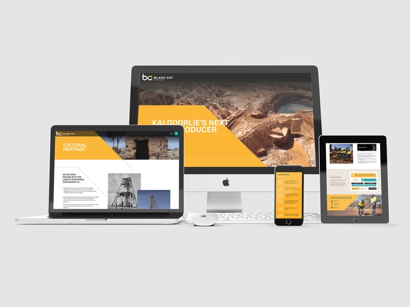 Website Design