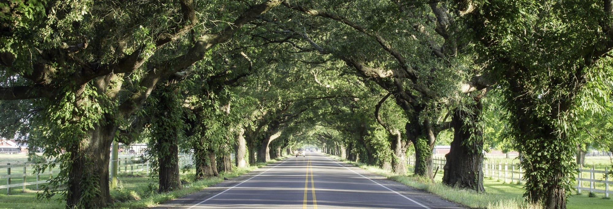 2025 Annual State of the Parish Report