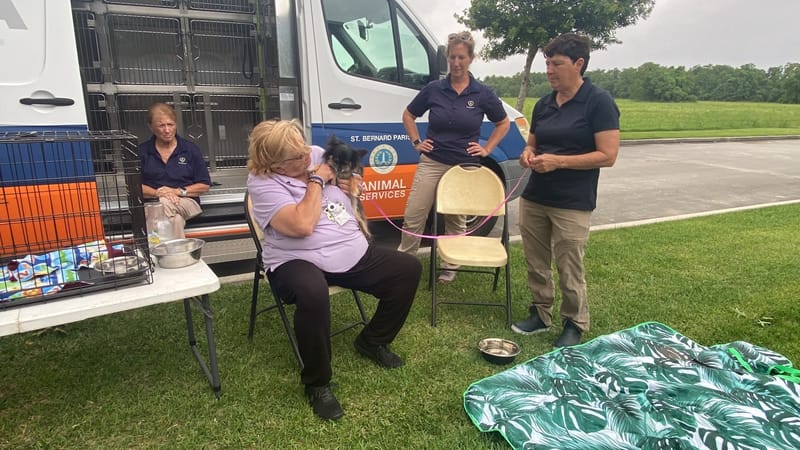 Maintained 100%  "No Kill" status by reuniting 300 lost pets and adopting 400 additional animals from shelter