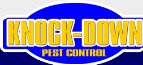Termite Treatment Sydney