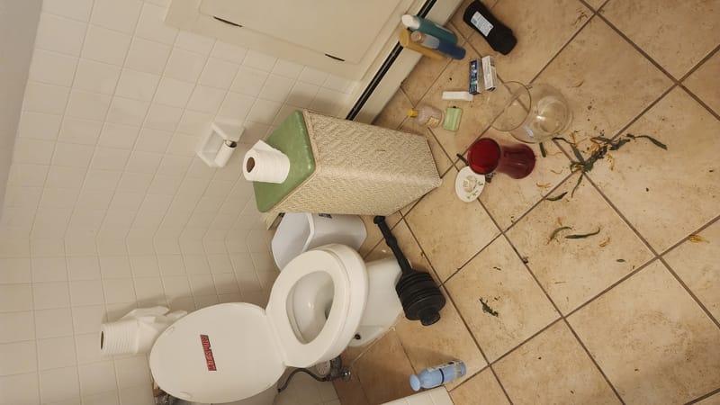 Before and After Photos of Cleaning Jobs