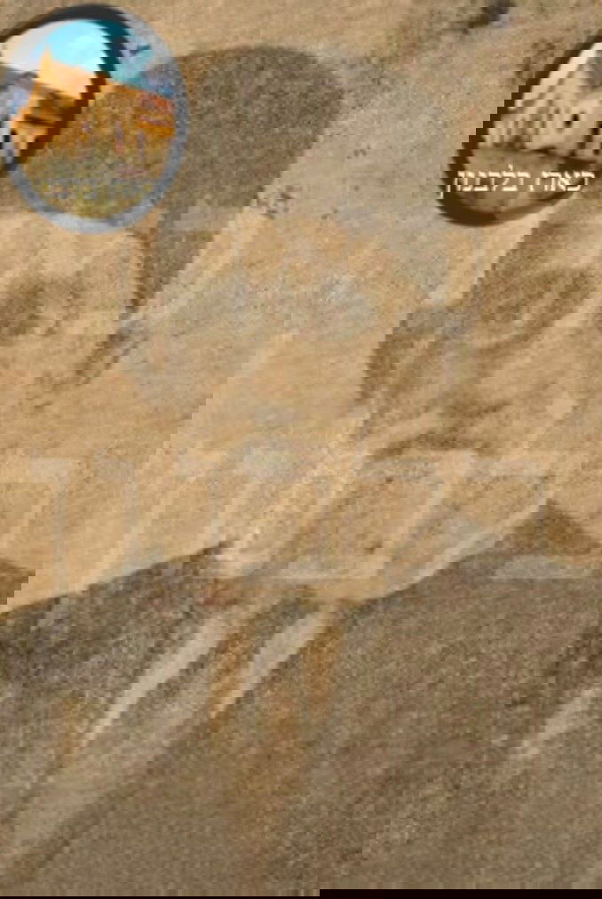 הרב מרדכי מעתוק הלוי