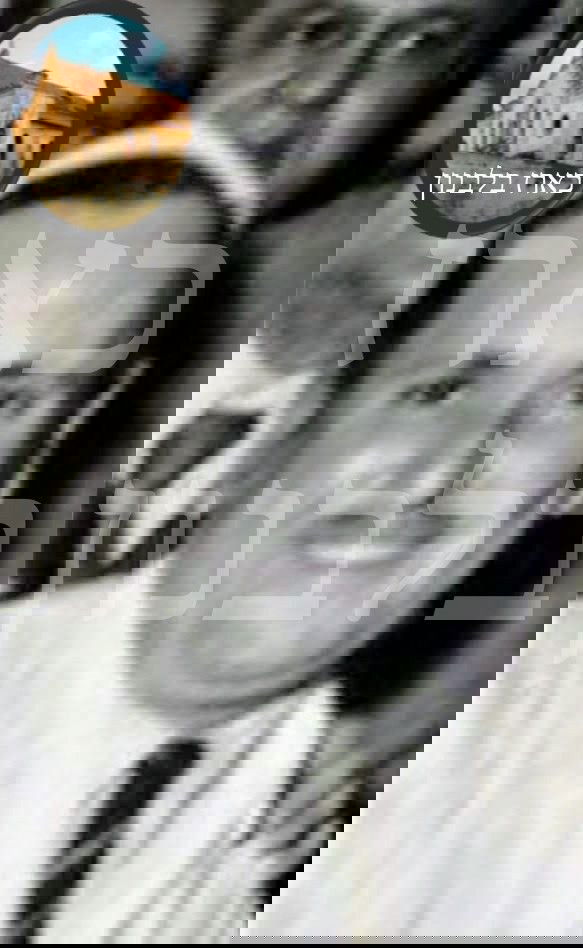 חכם אברהם שעיה מוגרבי (מערבי)