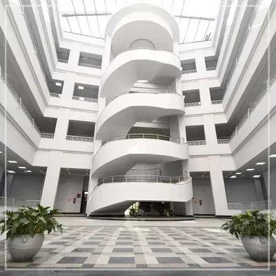 Faculty of Physical Therapy – Merit University