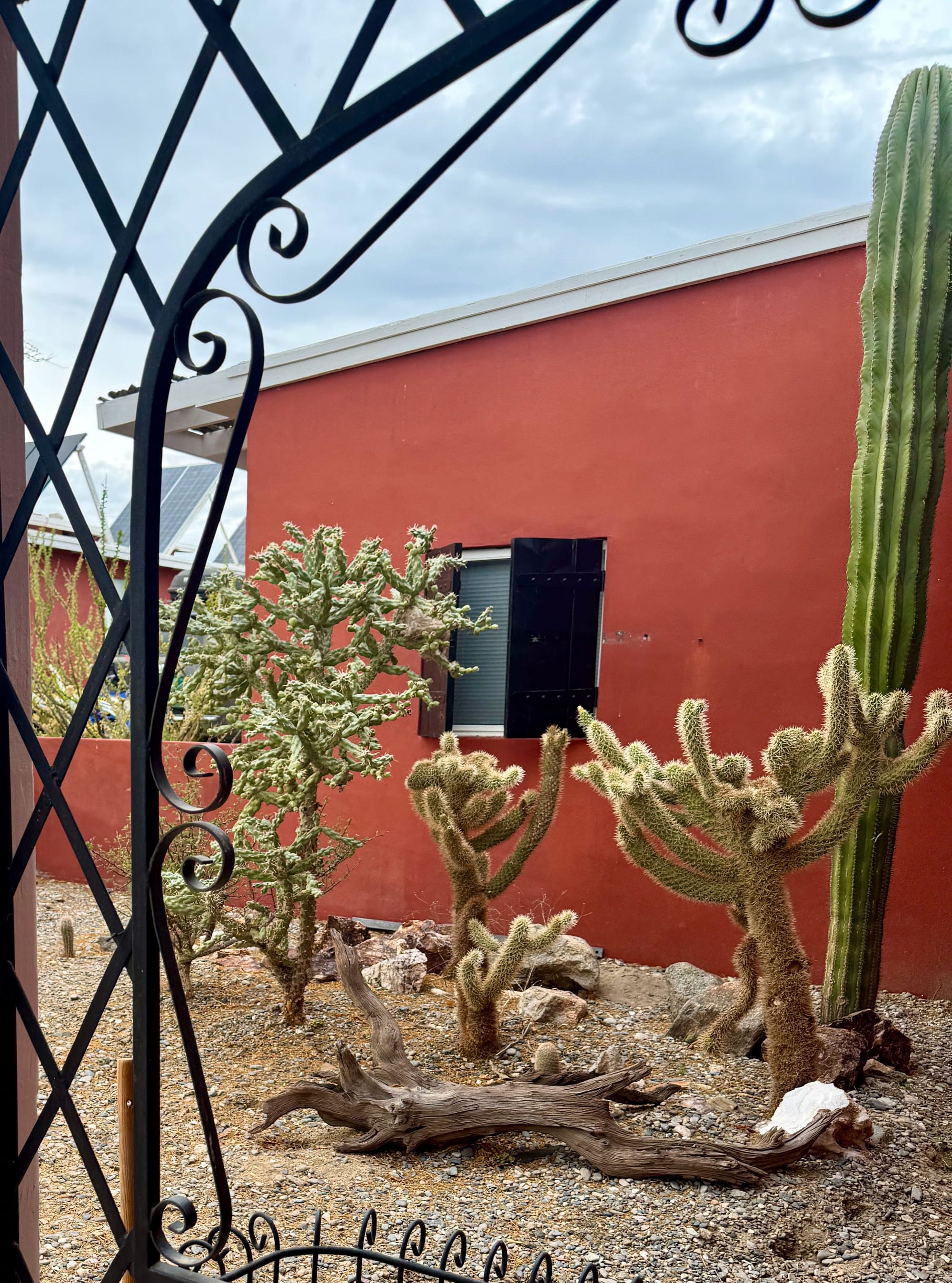 Front Courtyard Cactus Garden