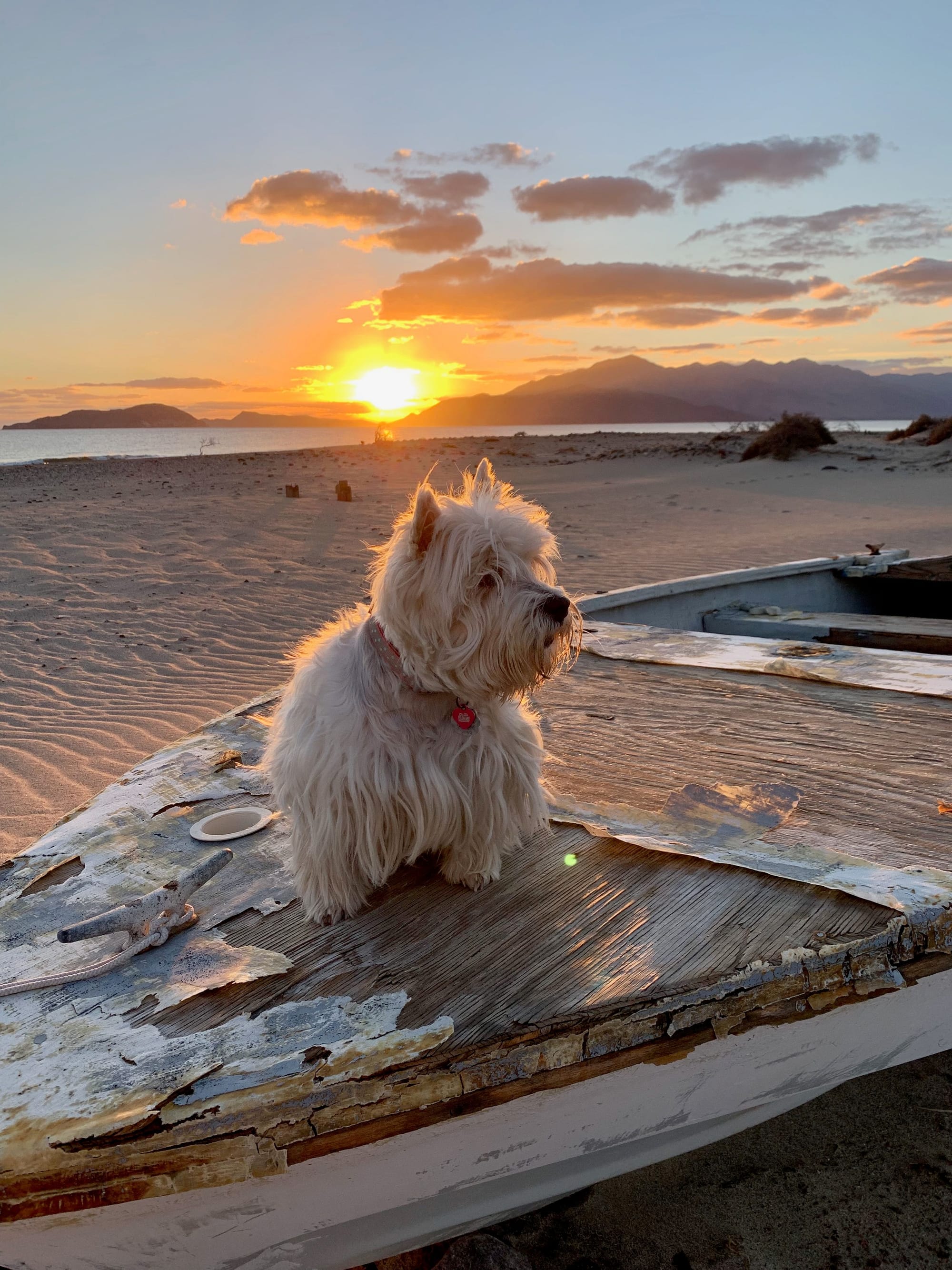 Morning Beach Adventures