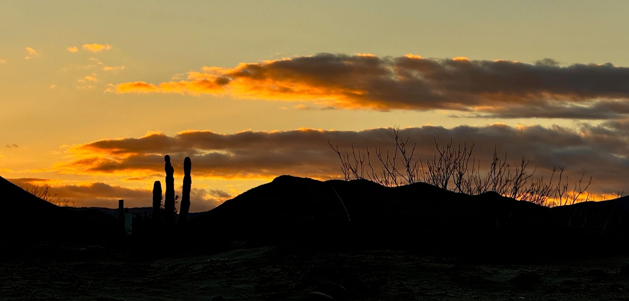 Desert Sunset