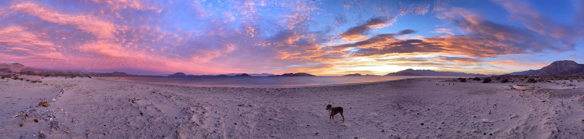 Backyard Panoramic