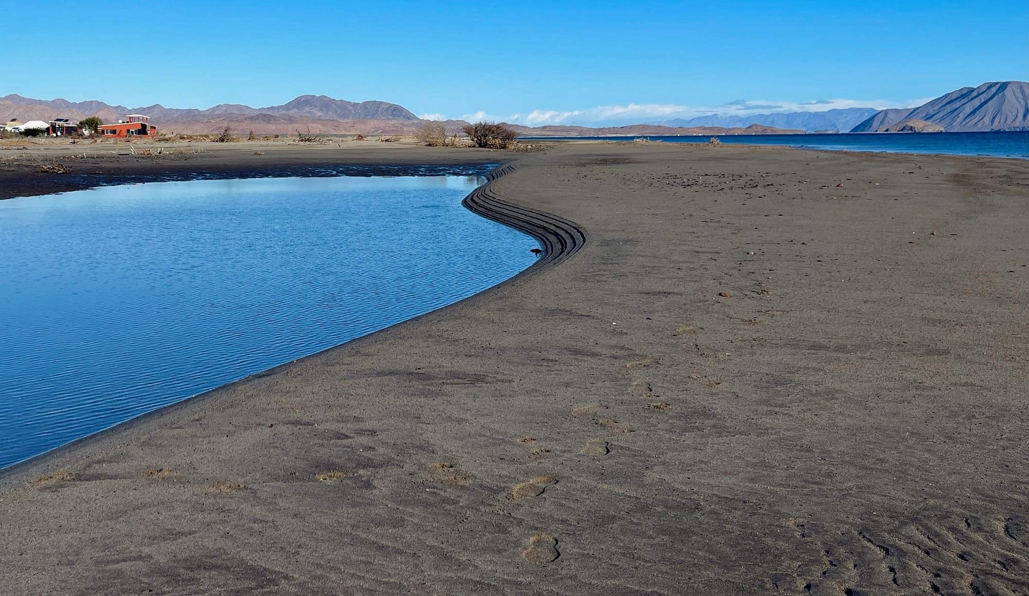 View Northward From Beach After High Tide