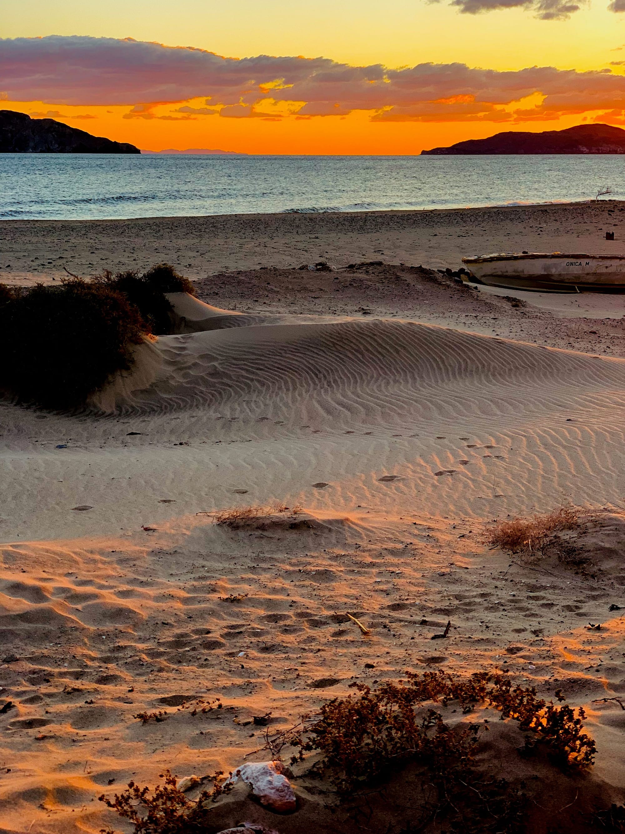 Paw Prints in the Sand at Sunrise