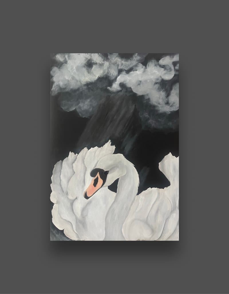 White swan