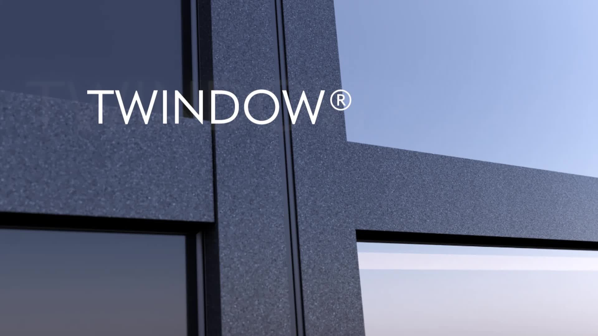 Twindow Wall 