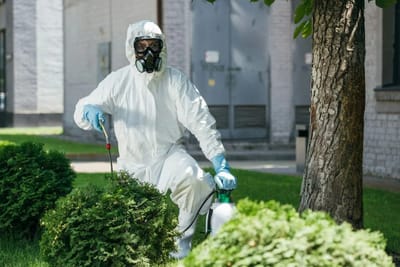 Say Goodbye to Cockroaches: Expert Cockroach Control in Jaipur for Homes & Businesses